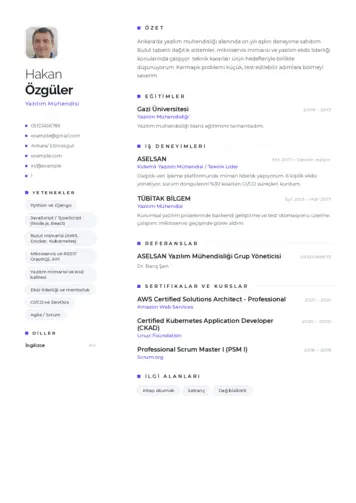 Yazılım Mühendisi Cv Örnekleri cv indir